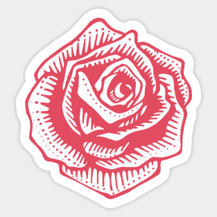 Rose flower vector illustration Sticker